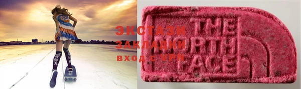 ECSTASY Богородицк