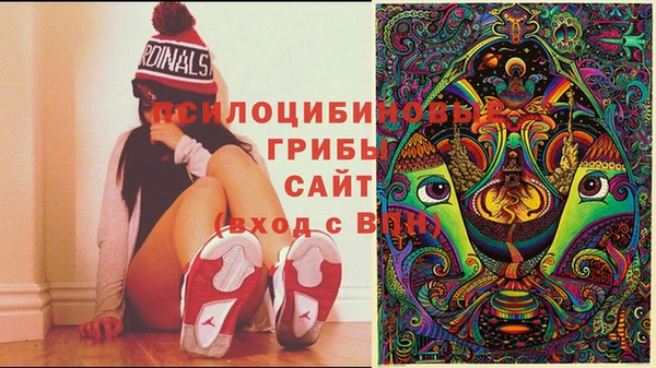 круглые Богданович