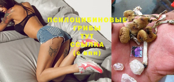 ECSTASY Богородицк