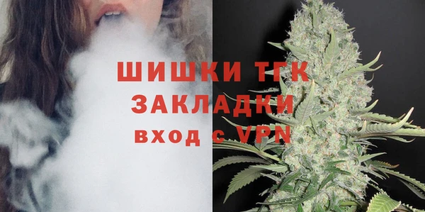 ECSTASY Богородицк