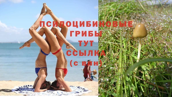 ECSTASY Богородицк