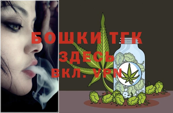 ECSTASY Богородицк