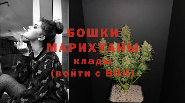 ECSTASY Богородицк